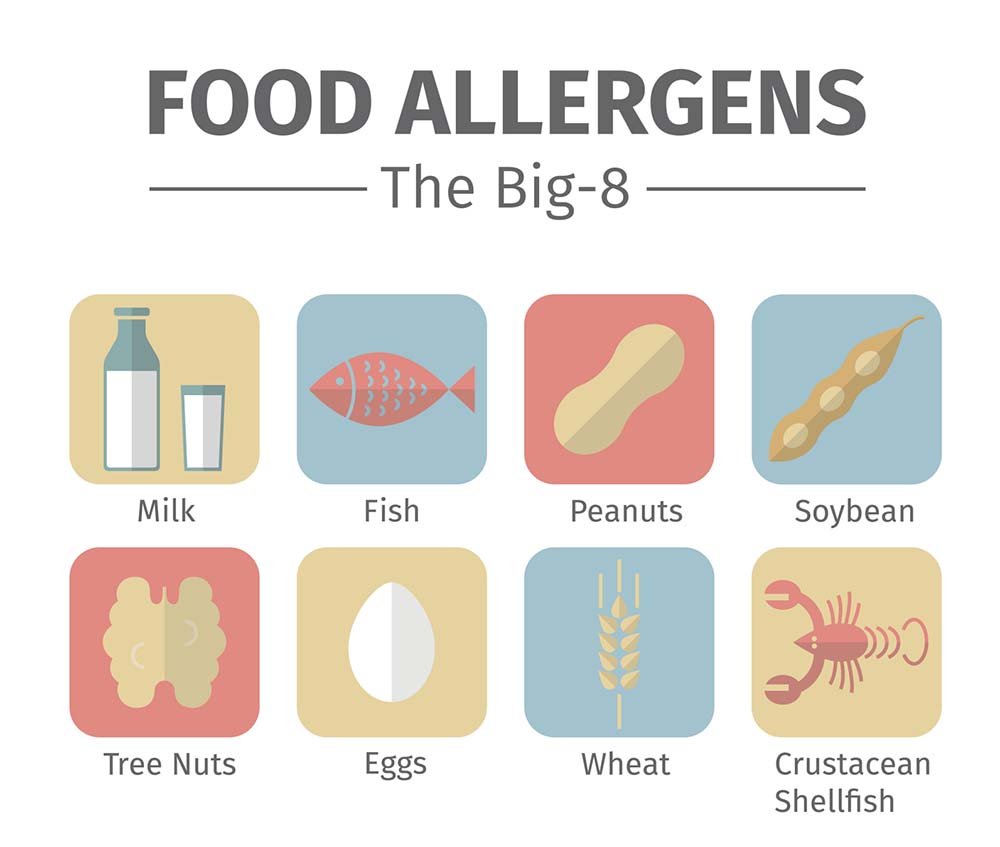 The Big-8 Food Allergies | Chestnut Hill Allergy & Asthma