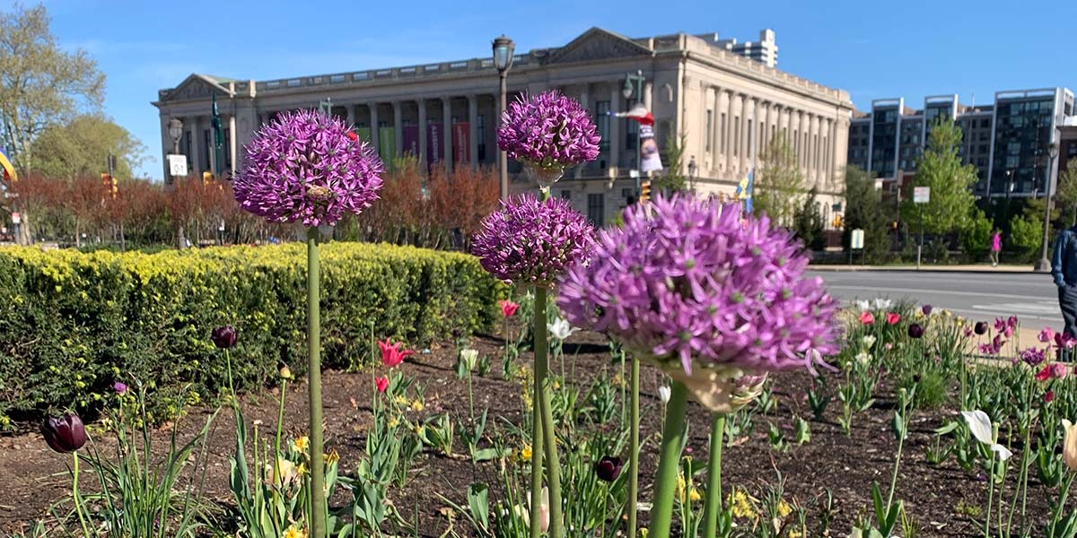 Spring flowers in Philadelphia