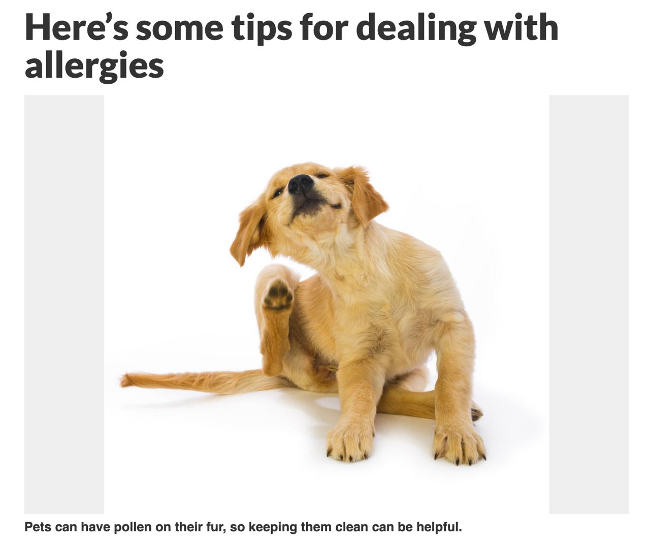 Here’s some tips for dealing with allergies image